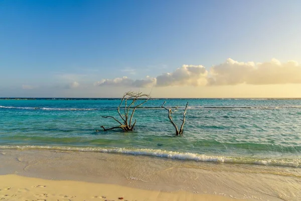 Magnifique Paysage Marin Baby Beach Aruba Coucher Soleil — Photo