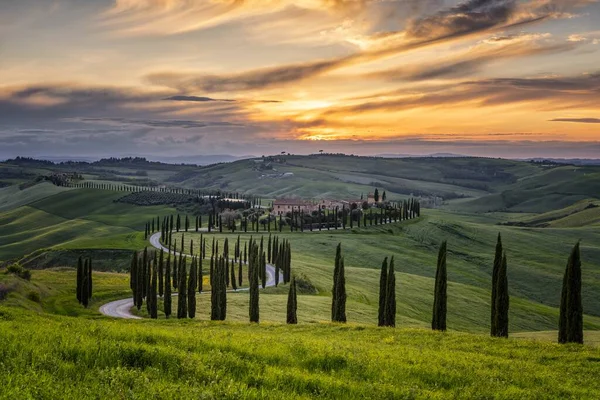 Solnedgång Över Typisk Villa Toscana Italien — Stockfoto