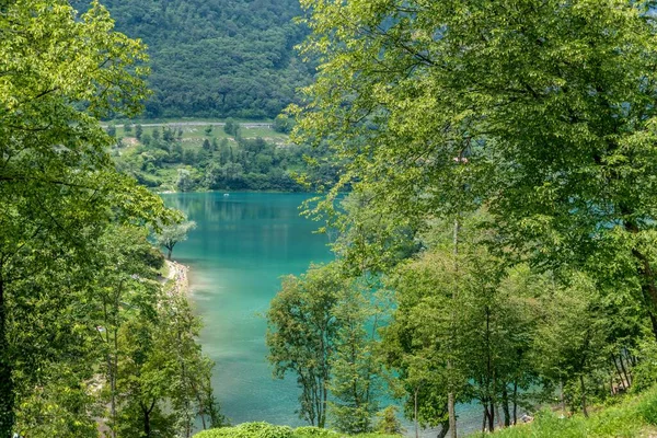 Вигляд Мальовниче Озеро Тенно Оточене Зеленою Природою Трентіно Італія — стокове фото