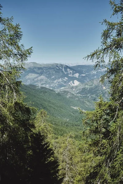 Uma Bela Vista Vertical Saint Dalmas Valdeblore Alpes Maritimes França — Fotografia de Stock