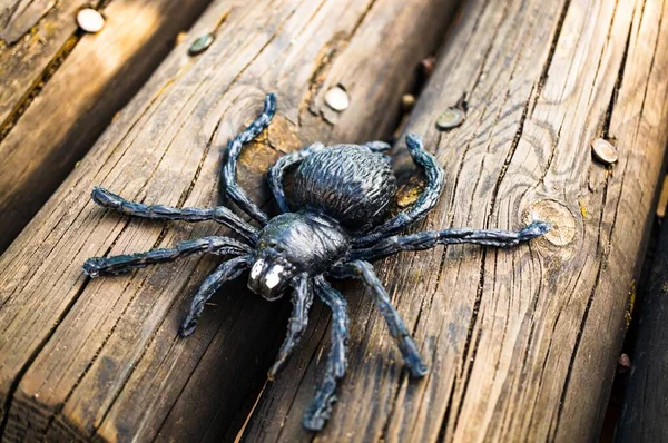 Zbliżenie Ujęcie Zabawkowej Tarantuli Umieszczonej Drewnie — Zdjęcie stockowe