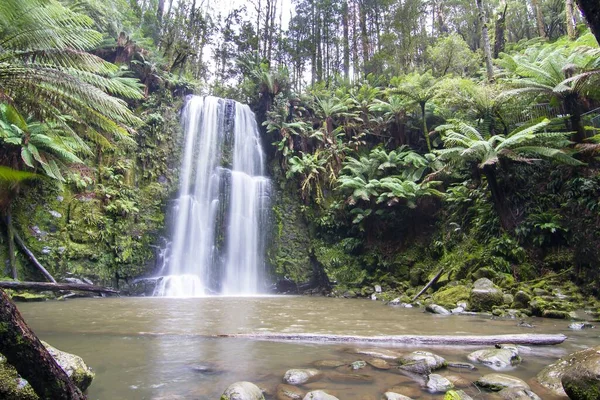 Belo Tiro Uma Cachoeira Uma Atmosfera Tropical — Fotografia de Stock