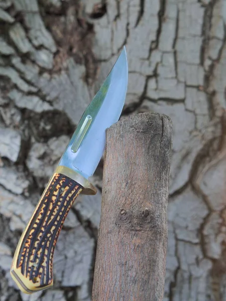 Вертикальный Снимок Охотничьего Ножа Дереве Огнями Размытым Фоном — стоковое фото