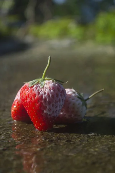 中午时分在地面上垂直拍摄的半冷冻草莓 — 图库照片