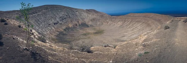 Vedere Panoramică Unui Vulcan Din Insulele Lanzarote Copac Mic Prim — Fotografie, imagine de stoc