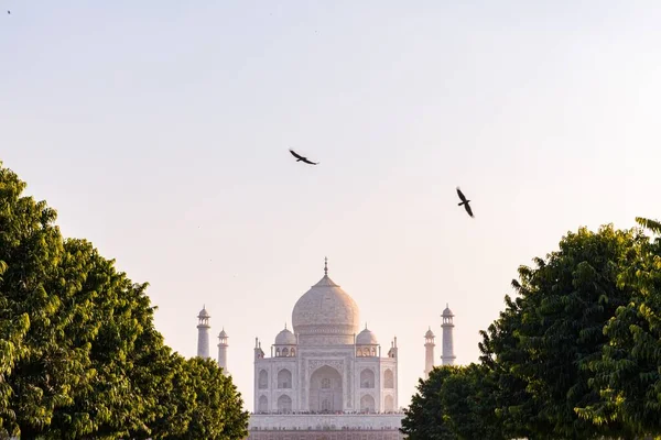 Hindistan Agra Uçan Kuşların Olduğu Güzel Bir Taj Mahal Manzarası — Stok fotoğraf