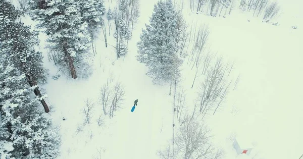 Snowboarder Floresta Inverno — Fotografia de Stock