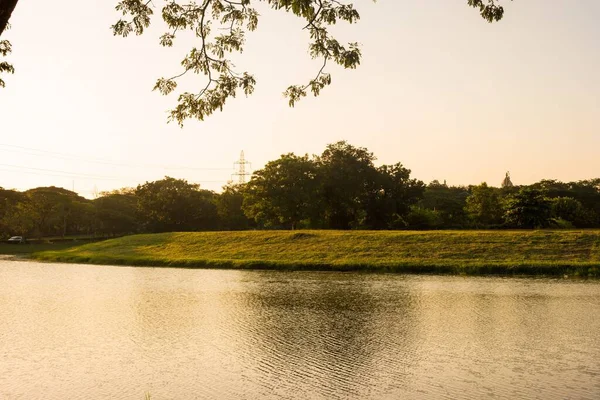 Ein Schöner Teich Mit Einem Grünen Park Hintergrund — Stockfoto