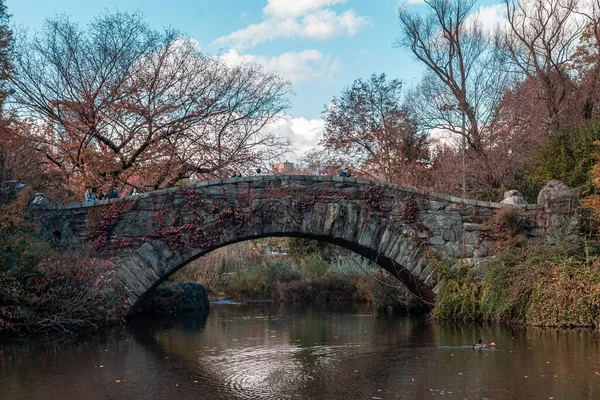 Eine Alte Steinbrücke Über Den Fluss Einem Park Herbst — Stockfoto