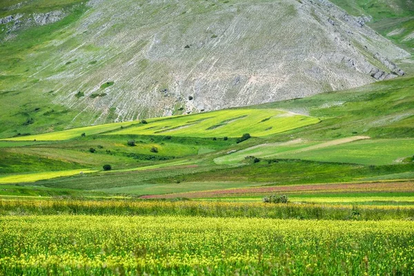 Plan Horizontal Paysage Couper Souffle Village Castelluccio Situé Dans Centre — Photo