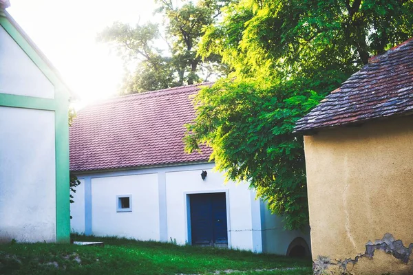 Egy Gyönyörű Környéken Kis Házak Körül Magas Zöld Fák Ausztriában — Stock Fotó