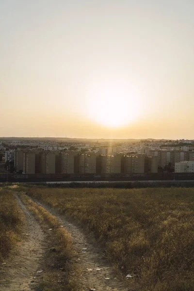 Plano Vertical Los Edificios Durante Amanecer — Foto de Stock