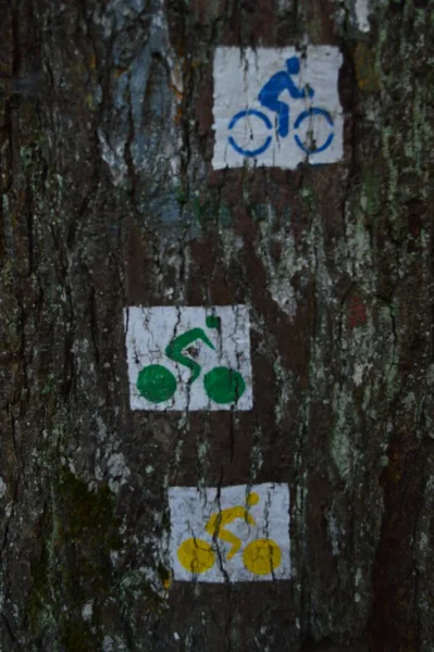 Вертикальный Кадр Трех Красочных Знаков Велосипедиста Стволе Дерева — стоковое фото