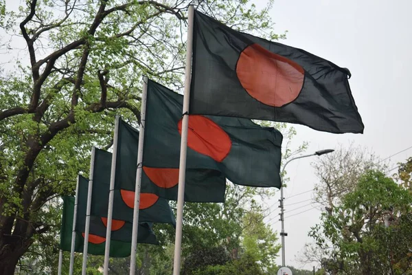 Una Hermosa Bandera Ondeante Bangladesh — Foto de Stock