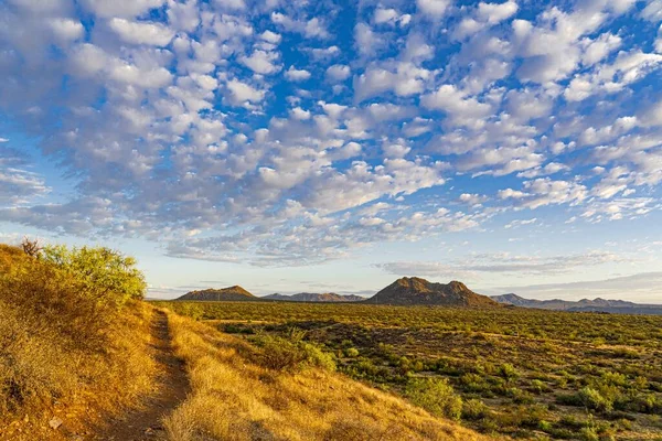 Eine Erstaunliche Aufnahme Einer Wunderschönen Graslandschaft Mit Majestätischen Bergen Hintergrund — Stockfoto