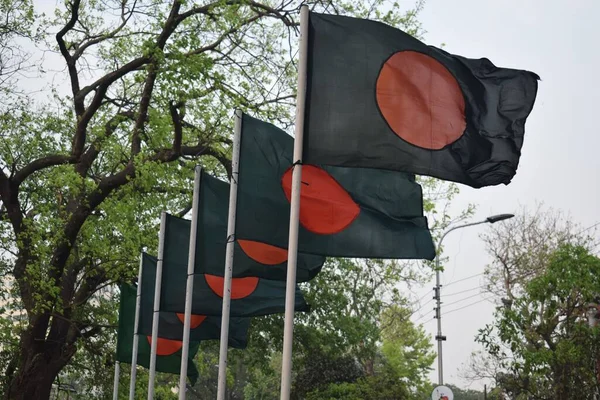 Una Hermosa Bandera Ondeante Bangladesh — Foto de Stock