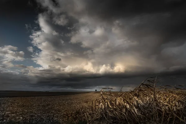 Largo Ângulo Tiro Grande Campo Seco Sob Céu Cheio Nuvens — Fotografia de Stock