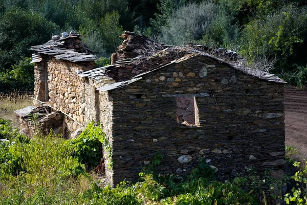 Pequeño Edificio Abandonado Entre Vegetación Durante Día — Foto de Stock