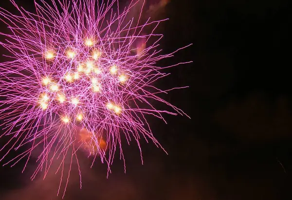 Tiro Close Fogos Artifício Rosa Céu Escuro Noite Perfeito Para — Fotografia de Stock