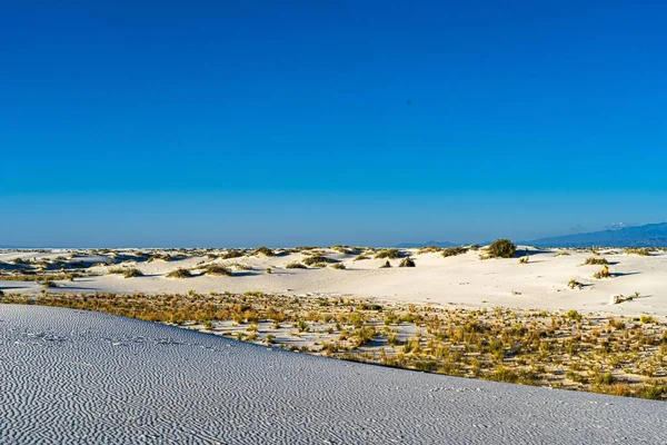 Imagem Mostra Uma Vista Uma Pequena Porção Deserto Parque Nacional — Fotografia de Stock