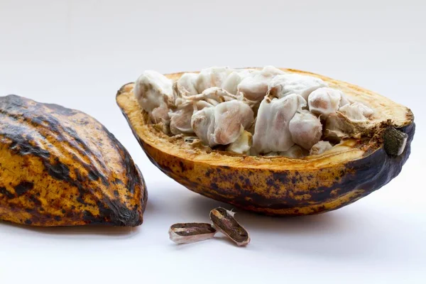 Sebuah Gambar Close Dari Tanaman Kakao Potong Pada Permukaan Putih — Stok Foto