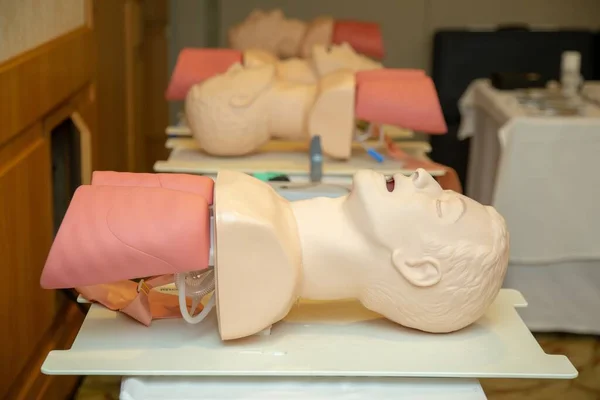 Взрослые Медицинские Дыхательные Пути Модель Практики Вставки Нескольких Устройств Дыхательных — стоковое фото