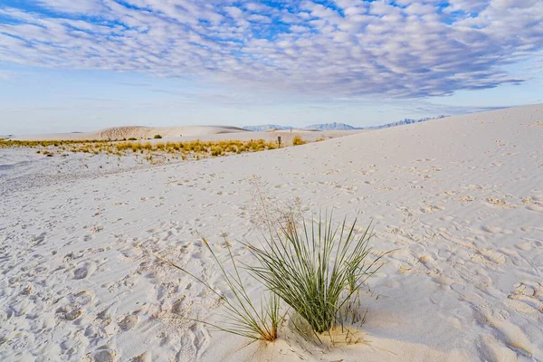 Uno Splendido Scenario Una Spiaggia Pulita Con Sabbia Bianca Sotto — Foto Stock