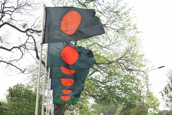 Una Hermosa Bandera Ondeante Bangladesh —  Fotos de Stock