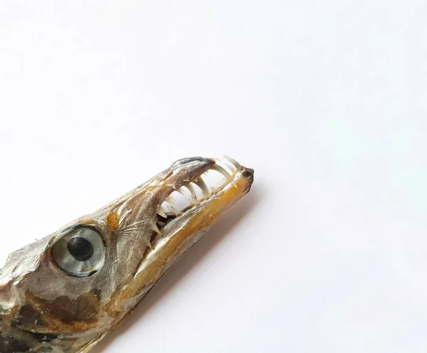 Крупный План Страшной Сушеной Головы Рыбы Белом Фоне — стоковое фото