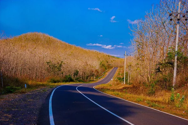 Een Prachtig Shot Van Een Lege Weg Omringd Door Een — Stockfoto