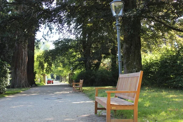 나무들과 의자들과 가로등 기둥들이 공원의 아름다운 — 스톡 사진