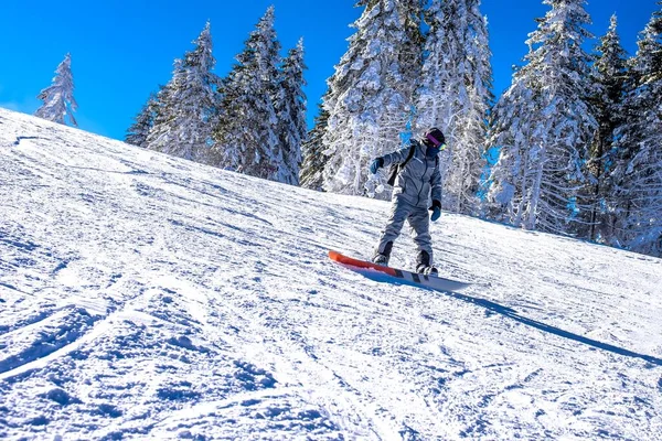 Egy Snowboardos Lovagol Hegyről Hegyi Üdülőhely Egy Gyönyörű Téli Táj — Stock Fotó