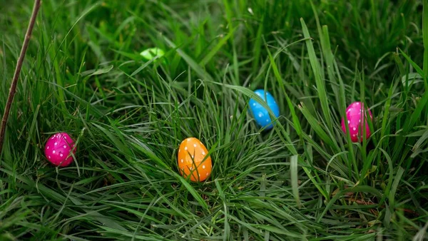 Tiro Close Ovos Páscoa Coloridos Espalhados Grama Verde — Fotografia de Stock