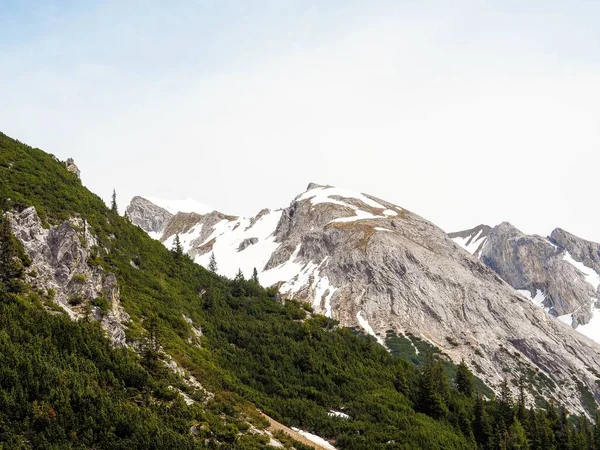 夏天的雄伟阿尔卑斯山 绿树成荫 山顶白雪覆盖 — 图库照片