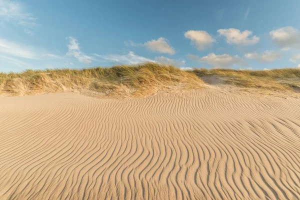 Sand Front Dry Grass Clouds Blue Sky — Stock Photo, Image