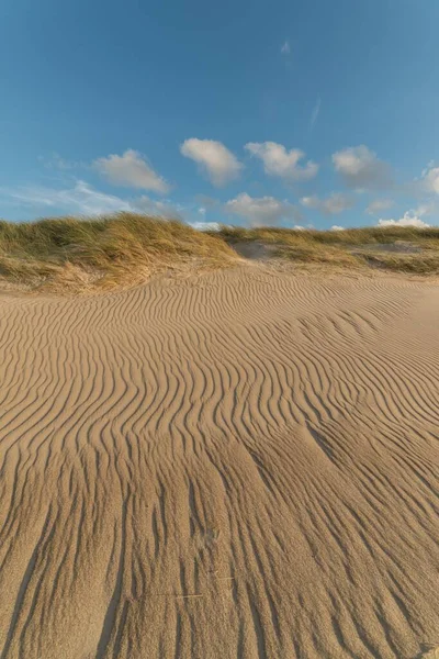 Het Zand Voor Het Droge Gras Onder Wolken Blauwe Lucht — Stockfoto