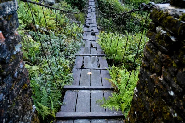 Old Pedestrian Bridge Natural Environment — Stock Photo, Image