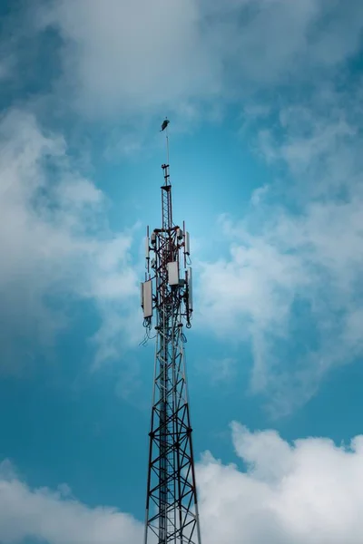 Tiro Vertical Baixo Ângulo Grande Pólo Elétrico Fundo Azul Céu — Fotografia de Stock