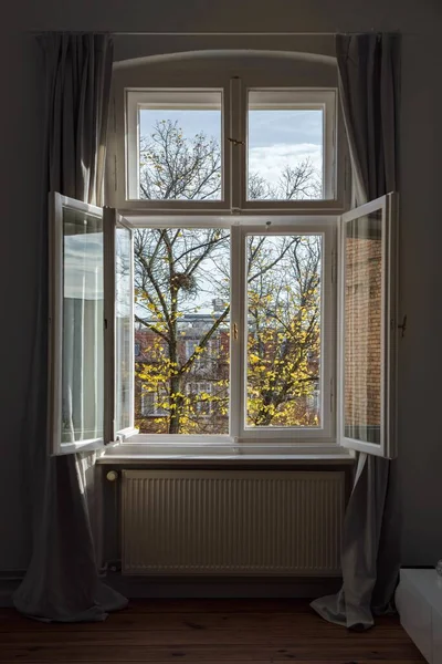 나무의 모습이 창문의 — 스톡 사진