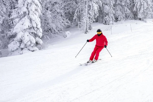 Skieur Costume Rouge Descend Pente Près Des Arbres — Photo