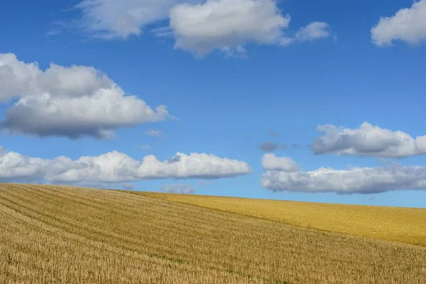 Eine Große Landschaft Aus Trockenem Weizen Unter Dem Himmel Voller — Stockfoto
