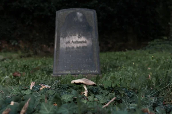 Plan Rapproché Une Tombe Dans Cimetière — Photo