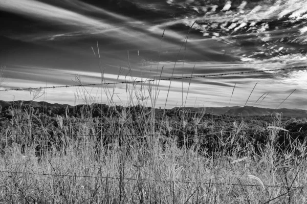 Plano Escala Grises Naturaleza Detrás Alambres Púas —  Fotos de Stock