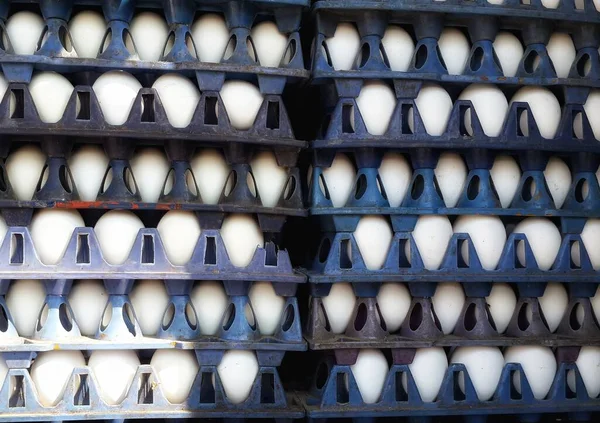 Eine Nahaufnahme Von Stapeln Von Eiern Eierkartons — Stockfoto