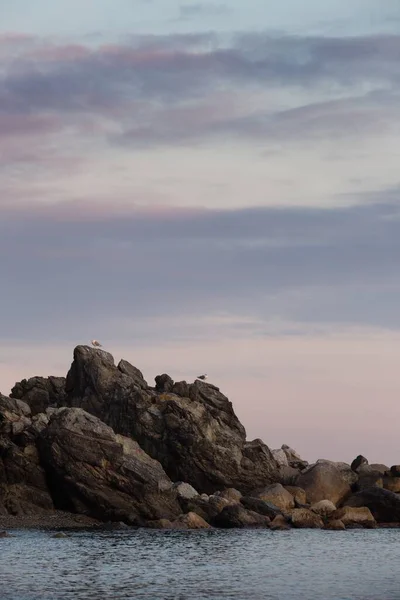 傍晚时分 在多云的天空下 一只海鸥在靠近大海的岩石上垂直飞行 — 图库照片