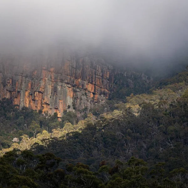 Bergen Bedekt Met Mist Het Grampians National Park — Stockfoto