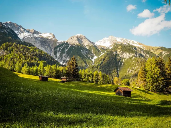Uma Vista Panorâmica Dos Alpes Verão Com Grama Verde Exuberante — Fotografia de Stock