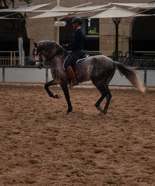 Crdoba España Febrero 2020 Una Persona Montando Caballo Corral Crdoba — Foto de Stock