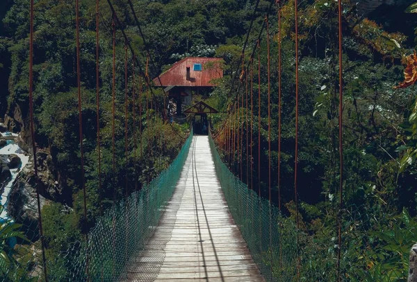 Narrow Canopy Walkway Bridge Type Provides Pedestrians Access Forest Canopy — Stock Photo, Image