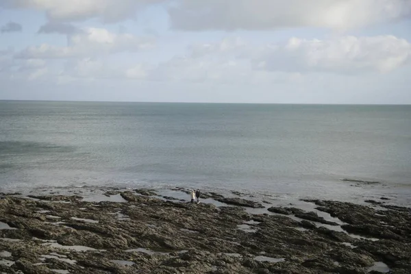 Ett Par Klipporna Vid Havets Strand Molnig Dag — Stockfoto